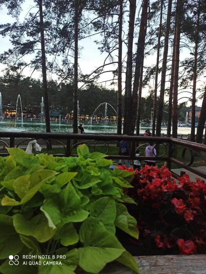 Apartmani Sloboda Zlatibor Bagian luar foto